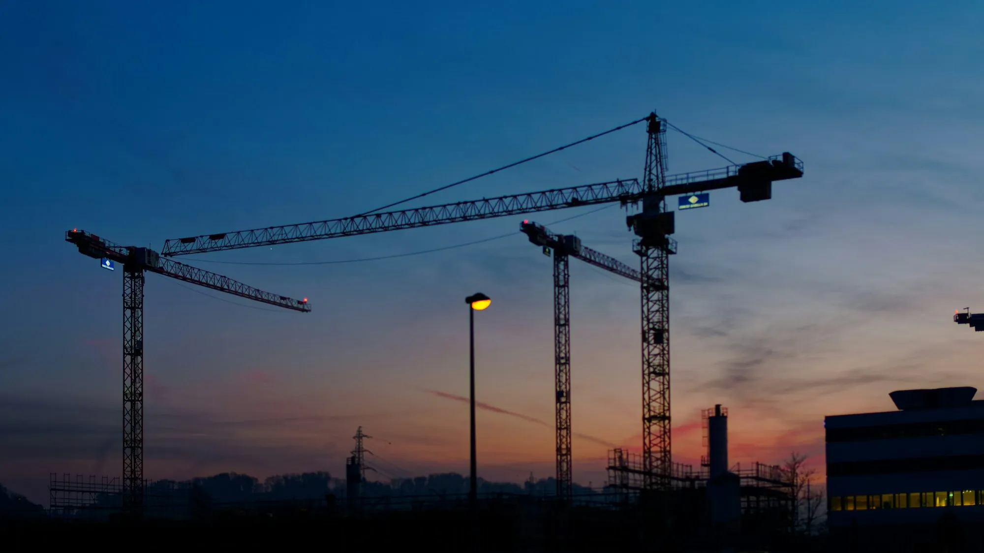 Cranes silhouetted at twilight
